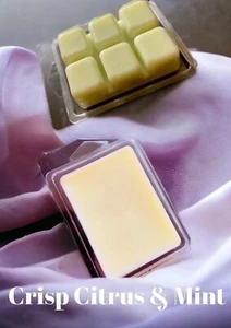 (2) Crisp Citrus And Mint Scented Eco Soy Wax Melt Clamshell Approx 85g - Picture 1 of 1
