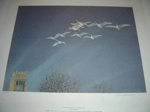A la luz del monte Mary Whistling Swans - por Owen Gromme Estampado Edición Limitada - Imagen 1 de 3