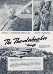 Republic P-47 Thunderbolt Aircraft Report 10/11/2023b - Imagen 1 de 1