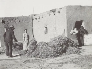 Postcard New Mexico Rio Arriba County Winnowing Beans c1920 (Repro) MINT Unused - Picture 1 of 1