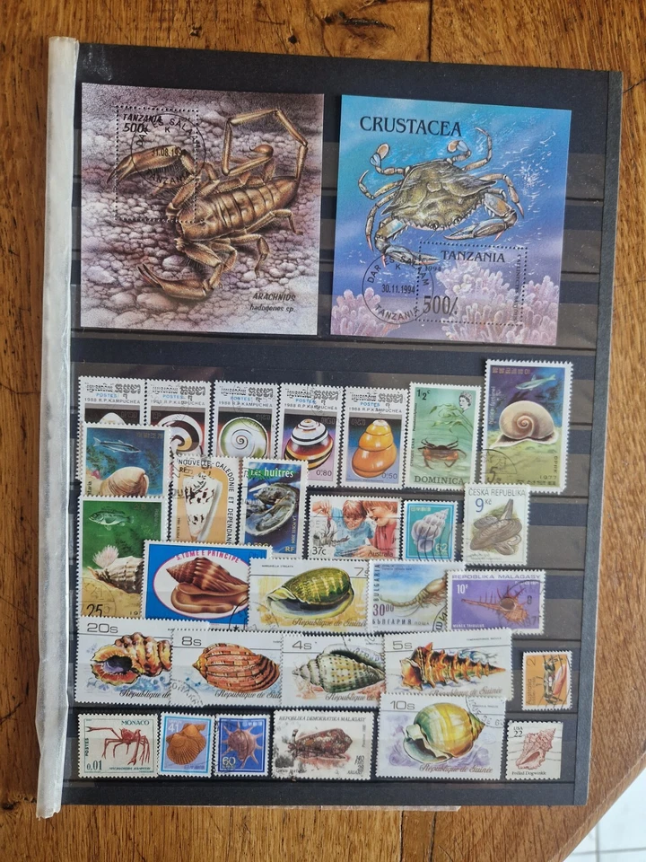 +25 Timbres coquillages & crustacés + 2 Bloc   ( lot K 192 ) - Photo 1/1