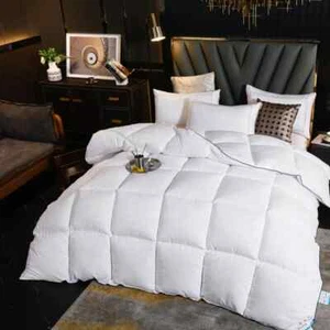 Edredón de invierno de algodón de plumón de ganso edredón de hotel de cinco estrellas súper suave mullido QueenKing - Imagen 1 de 37