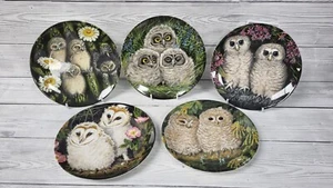 Wedgewood Bone China Teller The Baby Owls Collection X5. PB - Bild 1 von 7