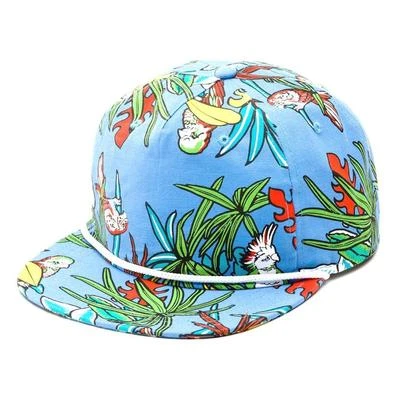 Furgonetas Fuera de la Pared Broloha Azul Pájaros Ajustable Corona Suave Camper Sombrero Nuevo Con Etiquetas Foto 1 de 2