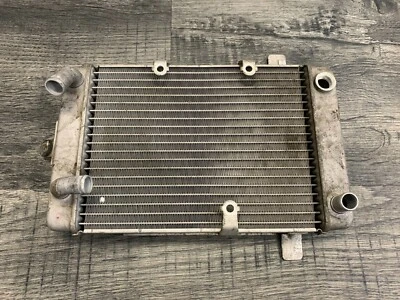 Radiador de agua Suzuki 2003-2006 AN400 400 Burgman Scooter OEM - ¡SIN FUGAS! * Foto 1 de 4