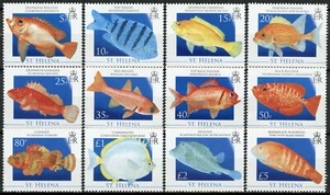 Estampillas de peces Santa Elena 2008 montada sin montar o nunca montada pescado definitivo salmonete pez cerdo conjunto de 12 V - Imagen 1 de 1