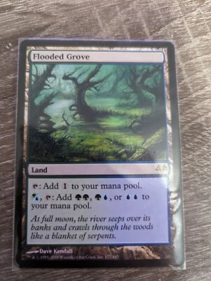 MTG Eventide - 1x Flooded Grove - LP - Image 1 of 2