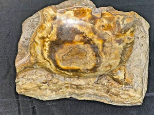 Cenicero Vintage Mármol Ónix Aragnita Ágata Alabastro Piedra Marrón Blanco 6 x 8 pulgadas - Imagen 1 de 22