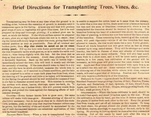 USA Cover Baltimore LETTER Contents TREES NURSERY PLANTS Instruction 1894 EP161 - Picture 1 of 9