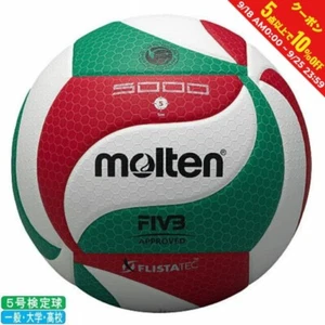 Molten Volleyball No. 5 V5M5000 Multicolor Ball - Picture 1 of 24