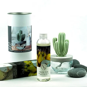 Pretty Valley Home Cactus Ceramic Diffuser Combo (Frozen Pear) Scent 200ml  - Picture 1 of 4