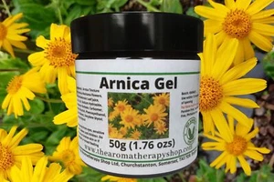 Arnica Gel - Picture 1 of 5