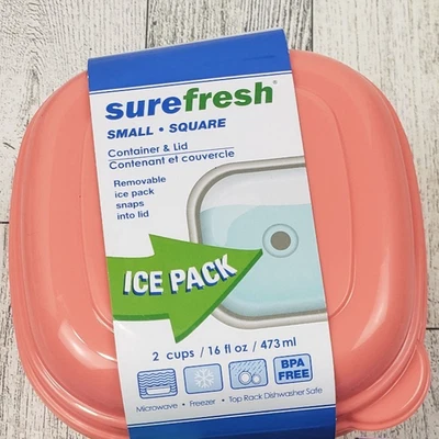 Contenedor de almacenamiento de alimentos reutilizable Sure Fresh bolsa de hielo extraíble en tapa Foto 1 de 4