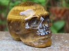 Tiger Eye Polished Crystal Skull 50mm Length Gold & Brown 77 Grams 35mm Tall