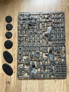 Warhammer Age of Sigmar Stormcast Eternals Vanguard-Raptors Nuevo en Sprues - Imagen 1 de 2