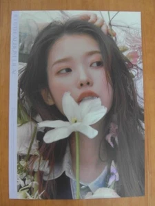 IU - FLIEDER (Ver. A) [OFFIZIELLES] POSTER *NEU* K-POP - Bild 1 von 2