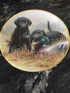 Franklin Mint "Beginners Luck" Plate by Jim Killen ~ 1991 Limited Edition. - Picture 1 of 3