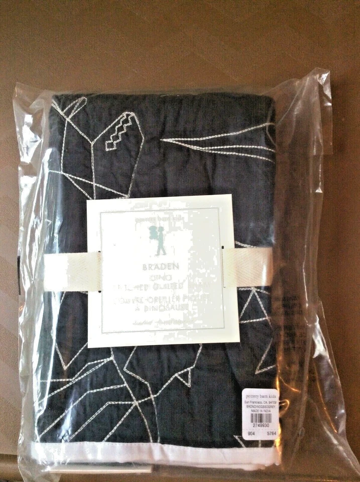 Almohada de granero de cerámica falsa escuela dinosaurio jurásico regalo estrella espacial pre k Disney - Foto 1 de 2