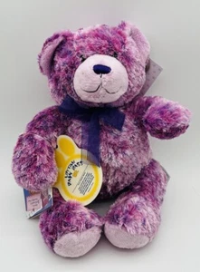 Build A Bear Nikki's Teddy II Oso Concienciación sobre el Cáncer Cinta Púrpura Ponderada Nuevo con Etiquetas - Imagen 1 de 8