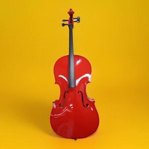 Cecilio (CCO-100) 1/4 Size Acoustic Cello - Picture 1 of 14
