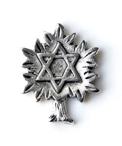 Star of David Lapel Pin - Picture 1 of 7