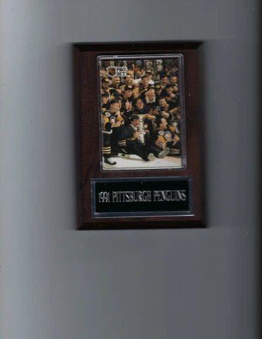1991 PITTSBURGH PENGUINS PLAQUE HOCKEY NHL CHAMPS  C Cover