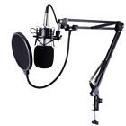 Pro Condenser Microphone Kit Broadcasting Studio Recording Arm Stand Shock Mount
