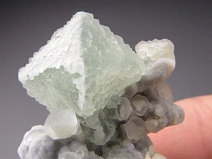 Quarz auf Fluorit Kristallen, Guangdong, China - Bild 1 von 6