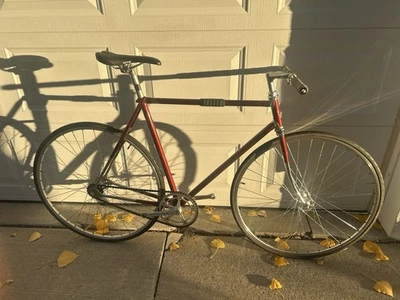 Raleigh Professional Track Full Campangnolo 1973 54 cm Foto 1 de 4