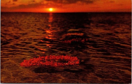 hawaiian-flower-leis-floating-rays-setting-hawaii-hi-dexter-unposted