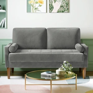Couch 2 Sitzer, 121x 77 X 87cm Samt Kleines Sofa mit 2 kissen Modern Mini Sofa - Bild 1 von 55