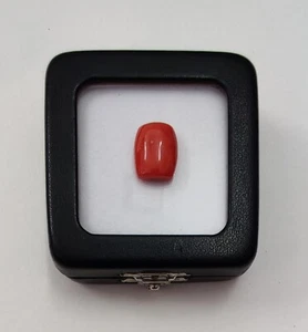 Cabujón de coral rojo 100 % natural Italia cabujón de coral rojo coral marino piedras preciosas sueltas - Imagen 1 de 13