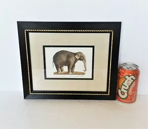 NEU NOS Druck Elefant Tiere 3D schwarz gold Rahmen 12" x 10" - Bild 1 von 8