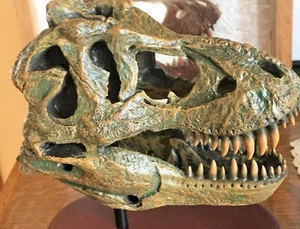 TESCHIO TYRANNOSAURUS T-REX ENORME MODELLO DENTE GRANDE REPLICA DINOSAURO OSSO GRANDE 1/10 - Foto 1 di 6