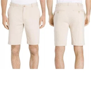 Mens IZOD Saltwater Flat Front 9.5 Inch Chino Shorts Size 40 Silver Birch NWT - Picture 1 of 1