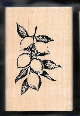 RACIMO DE LIMÓN CÍTRICOS HOJAS DE RAMA ÁRBOL FRUTAL GRANJA CULTIVO NUEVO ESTAMPABILIDADES CAUCHO Foto 1 de 3