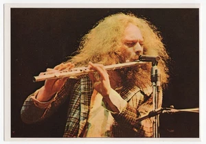 Ian Anderson Card Panini Pop Stars Sticker 1975 Mini-Poster Jethro Tull Rock #66 - Picture 1 of 2