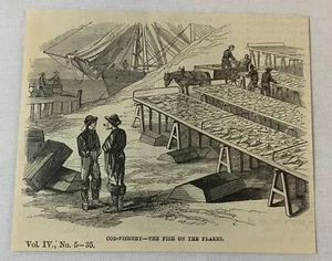 1877 Zeitschriftenstich ~ CELAU AUF DEN FLOCKEN in Neufundland - Bild 1 von 1