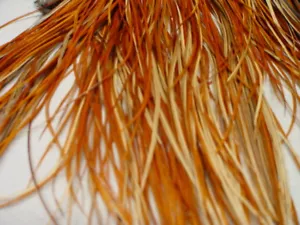 12 PIUME D'ANGELO MARRONI NATURALI SELLA HACKLE ARTIGIANATO MOSCA PESCE GIOIELLI SH410 - Foto 1 di 1