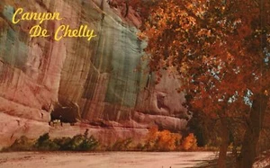 Cartolina Casa Bianca Rovina Canyon De Chelly Arizona AZ Petley Studios Editoria - Foto 1 di 2