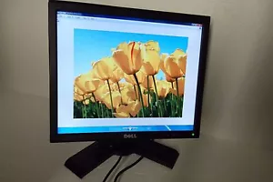 Dell P170S 1708FP LCD Monitor 17" BLACK USB Hub DVI VGA VMPX3 YVG53 TJKG1 D2TM2 - Picture 1 of 9