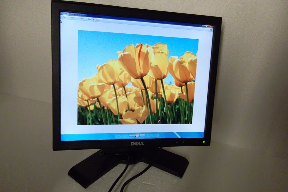 LOT-4 Dell 17" Monitor BLACK w/4-Ports USB Hub DVI VGA P170Sf 1708FP C182J C2JMK - Image 1 of 4