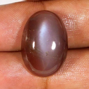 19.35Cts. 100% Natural CHOCOLATE Silky Moonstone Oval Cabochon Loose Gemstone - Picture 1 of 3