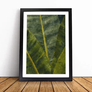 Cuadro póster impresión arte pared lienzo enmarcado frondas de una palmera, decoración del hogar - Imagen 1 de 9