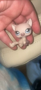 LPS Littlest Pet Shop #664 gatto siamese viola malva marrone blu occhi di farfalla - Foto 1 di 1
