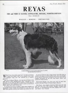 BORZOI HUNDEWELT 1961 HUNDESRASSE ZWINGER WERBUNG DRUCK SEITE REYAS KENNELS - Bild 1 von 1