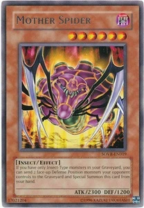 Yugioh Spinne / Insekten Deck komplett 42 - Karten - Bild 1 von 1