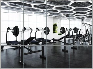 House Home Gym Mirror, 12Pcs 10" × 12" HD Glass Wall Mirror for Gym, Frameles... - Picture 1 of 7