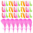 50pcs Wedding Plume Artificial Plumes Artificial Plumes Party Plumes Supplies