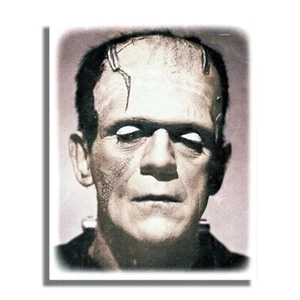 Horror Movie Frankenstein Monster 16x20 Aluminum Wall Art - Bild 1 von 4